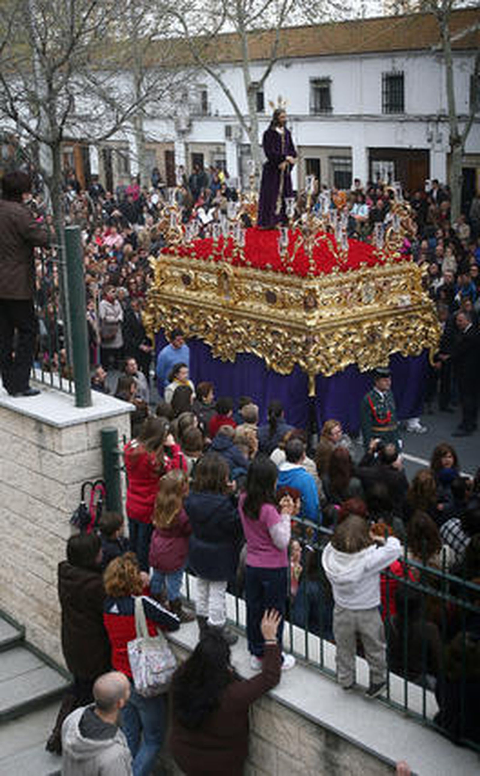 Cautivo.

Foto: Josué Correa