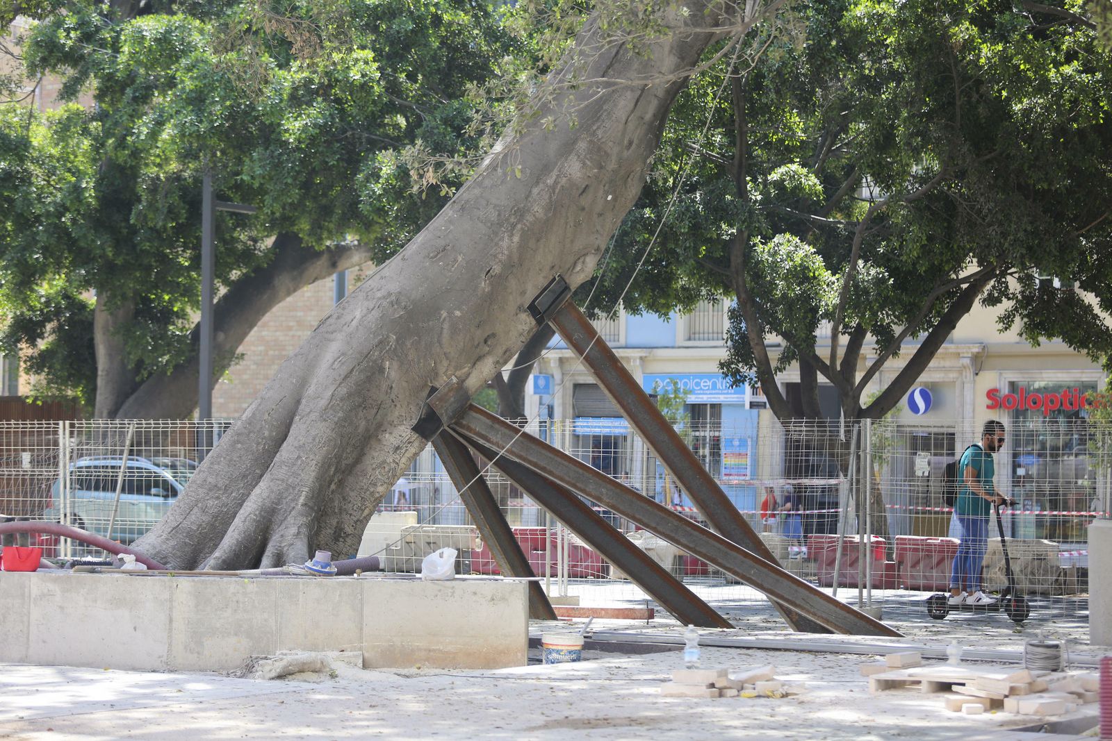 Las fotos de la peatonalización de la Alameda Principal de Málaga