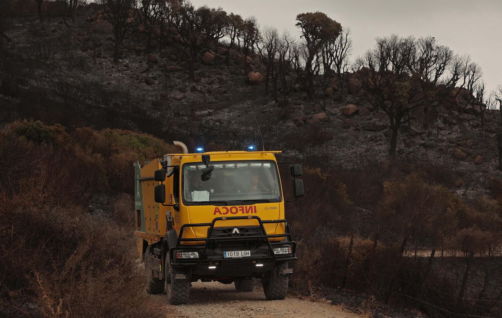 Fotos de los efectos del incendio en el Puerto del Laurel en Algeciras