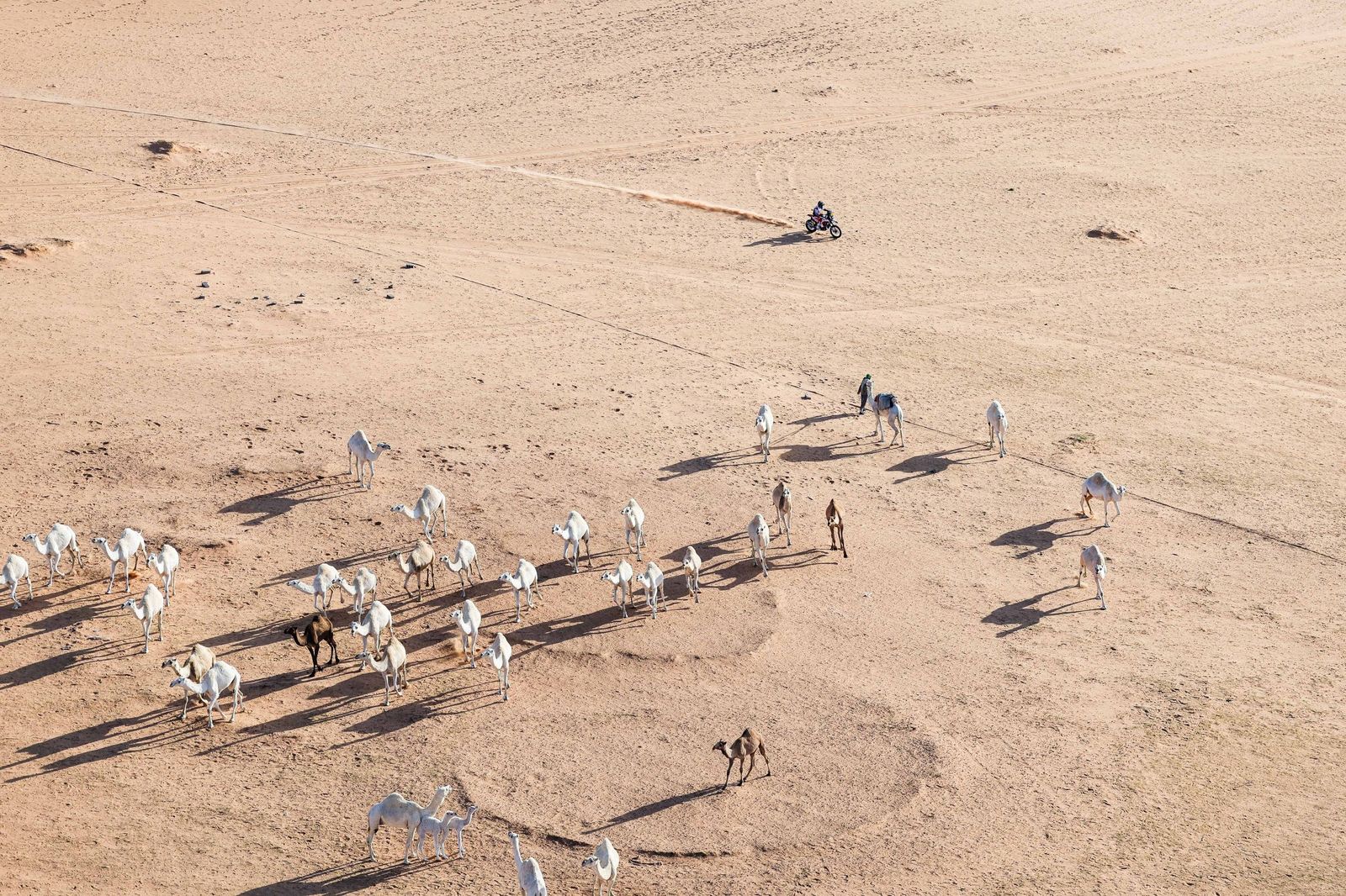 Las mejores fotos del Rally Dakar | Sexta etapa