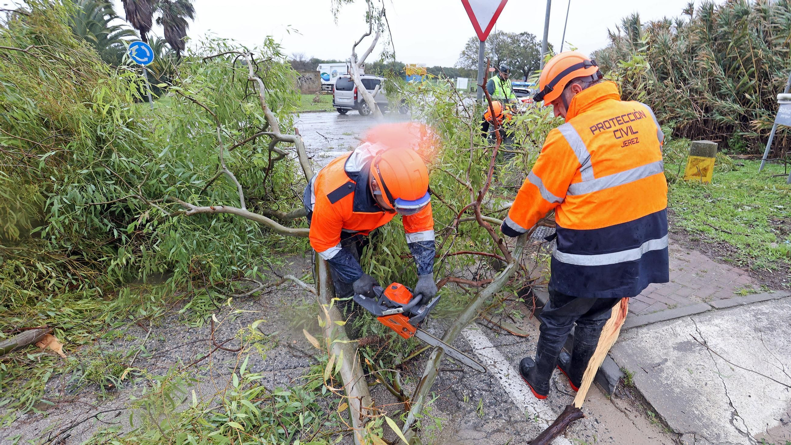 Imágenes del temporal de viento y lluvia en Jerez