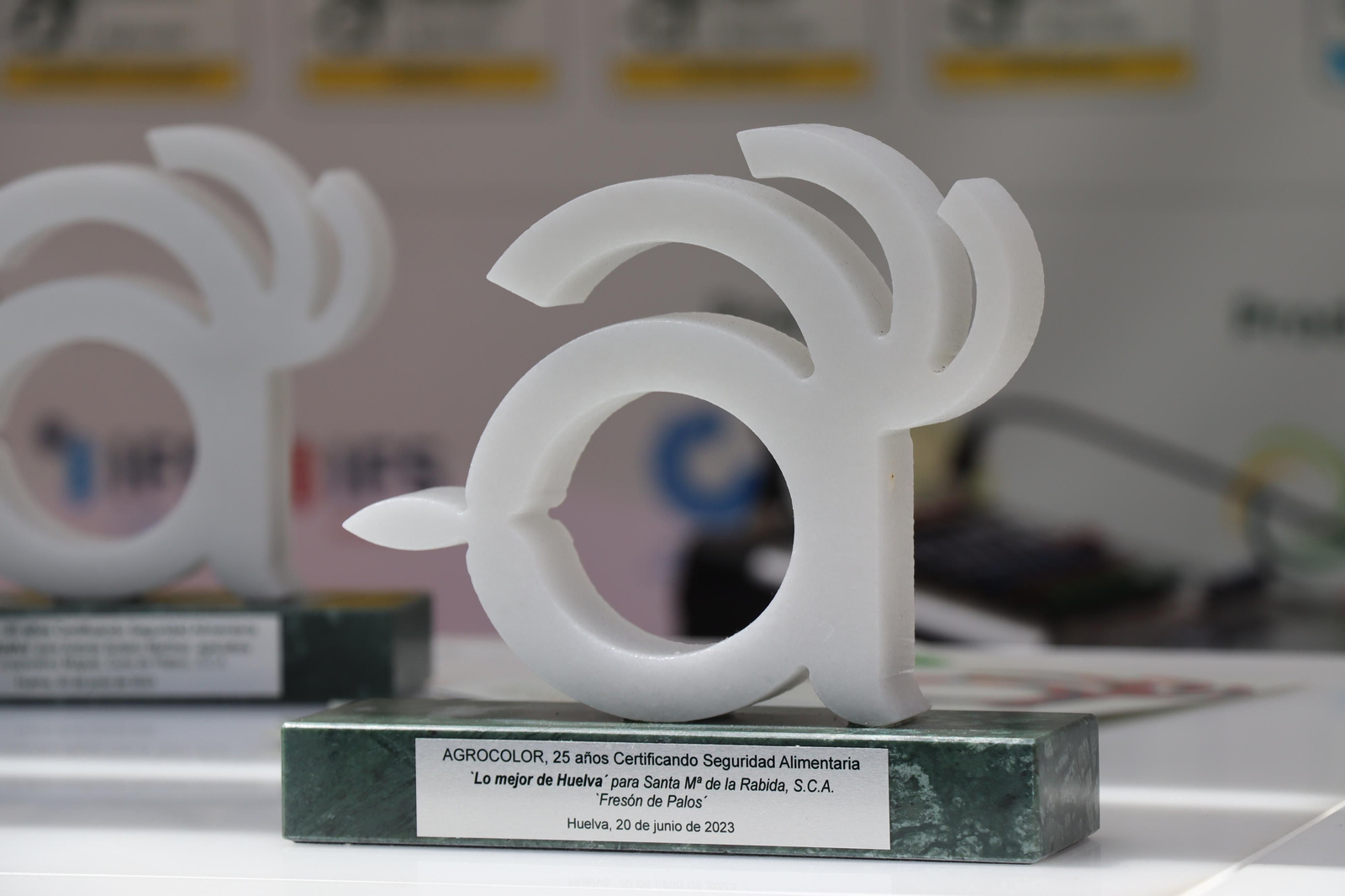 Imágenes del ambiente en la VIII Congreso Internacional de Frutos Rojos en Huelva