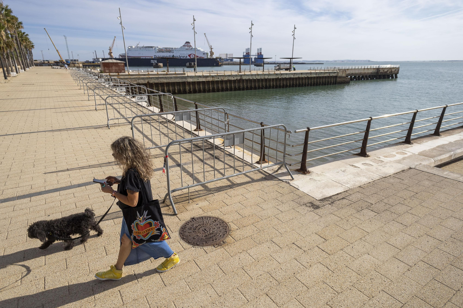 Las imágenes del mal estado de los paseos de Cádiz
