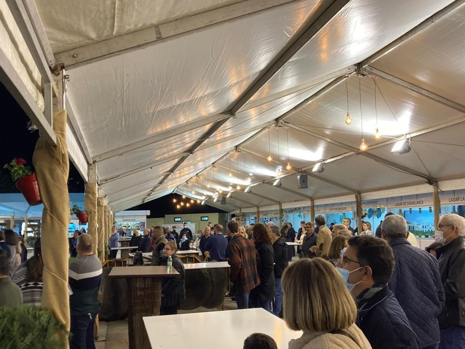 La inauguración de la Feria del Vino de Tinaja en Montalbán, en imágenes