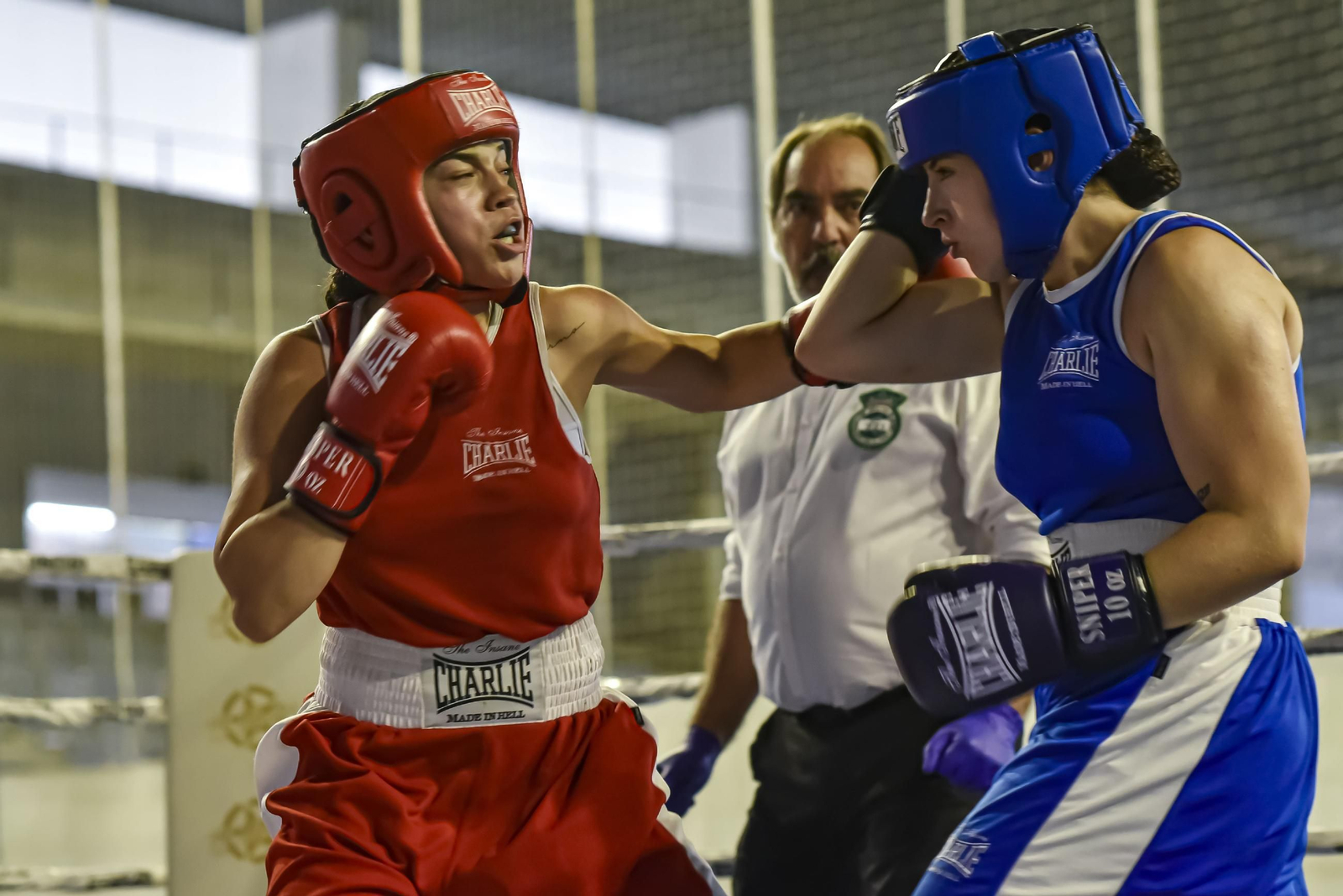 las imágenes más espectaculares del Andaluz de Boxeo Amateur en Jerez