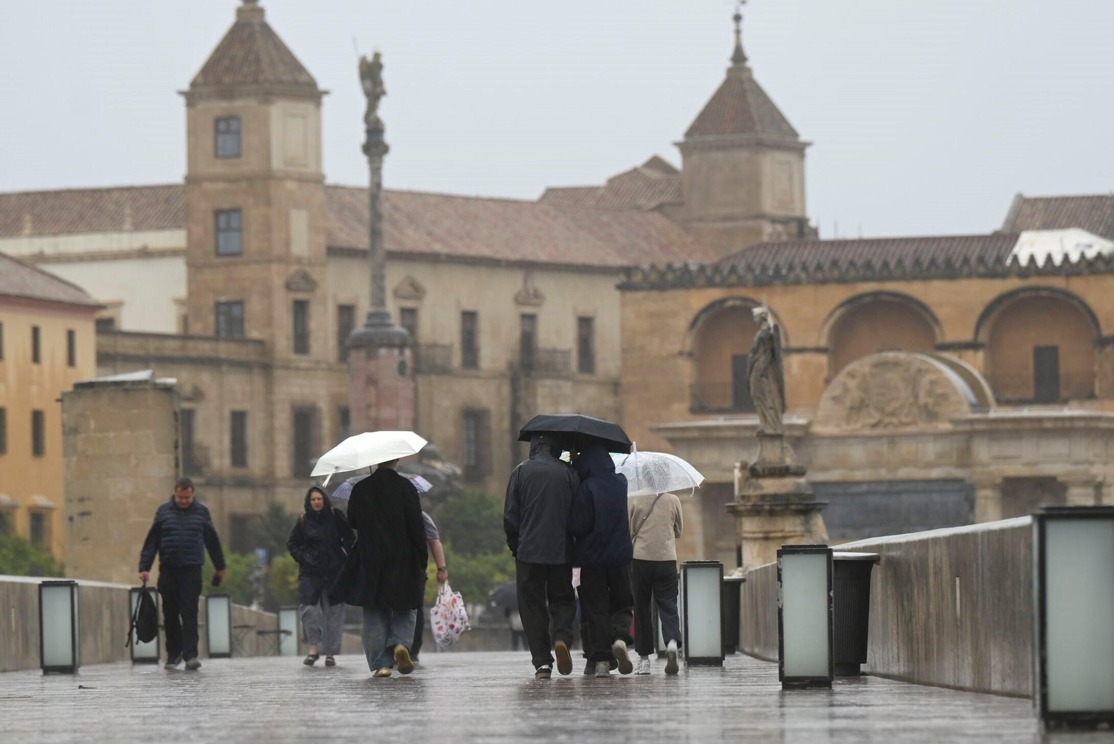El paso de la borrasca Claudia por Córdoba en imágenes