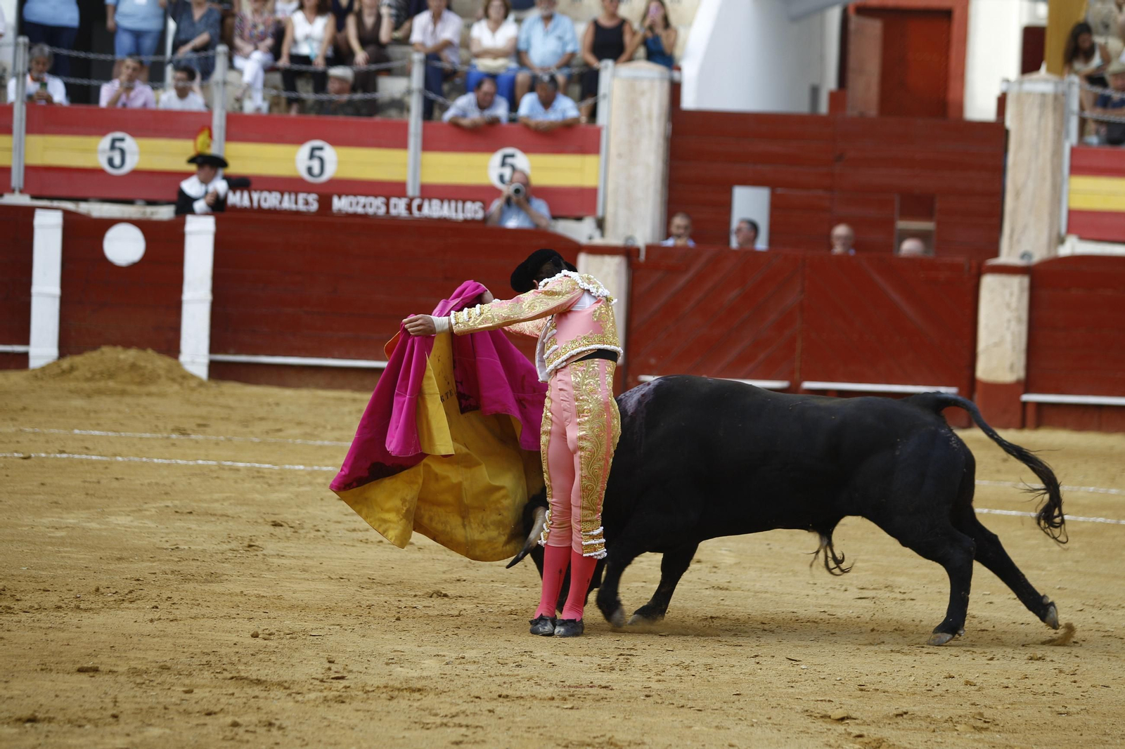 Imágenes de la novillada de la Feria de Almería 2025