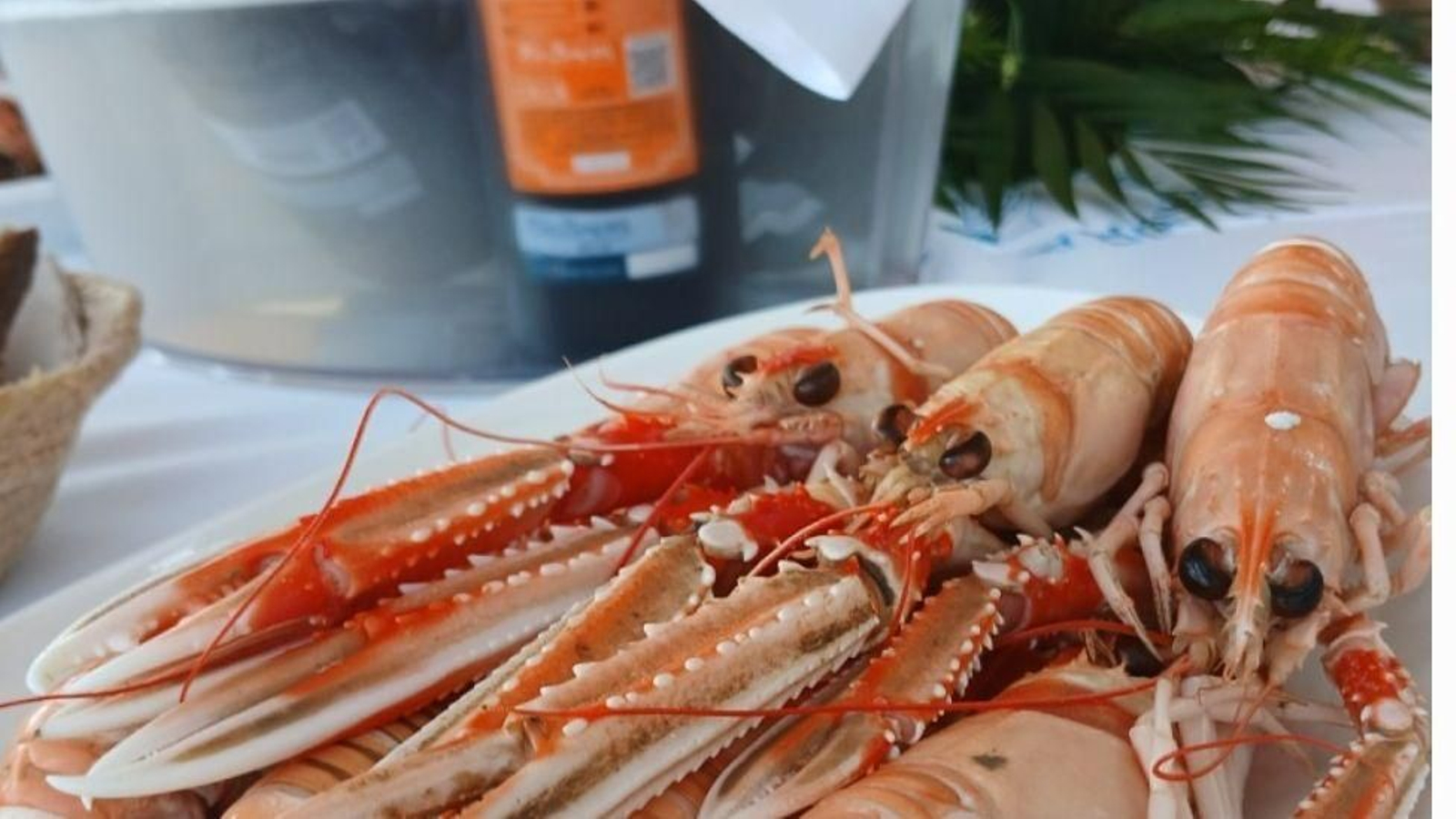 Cigalas gallegas con una cubitera bien fría de vinos de albariño