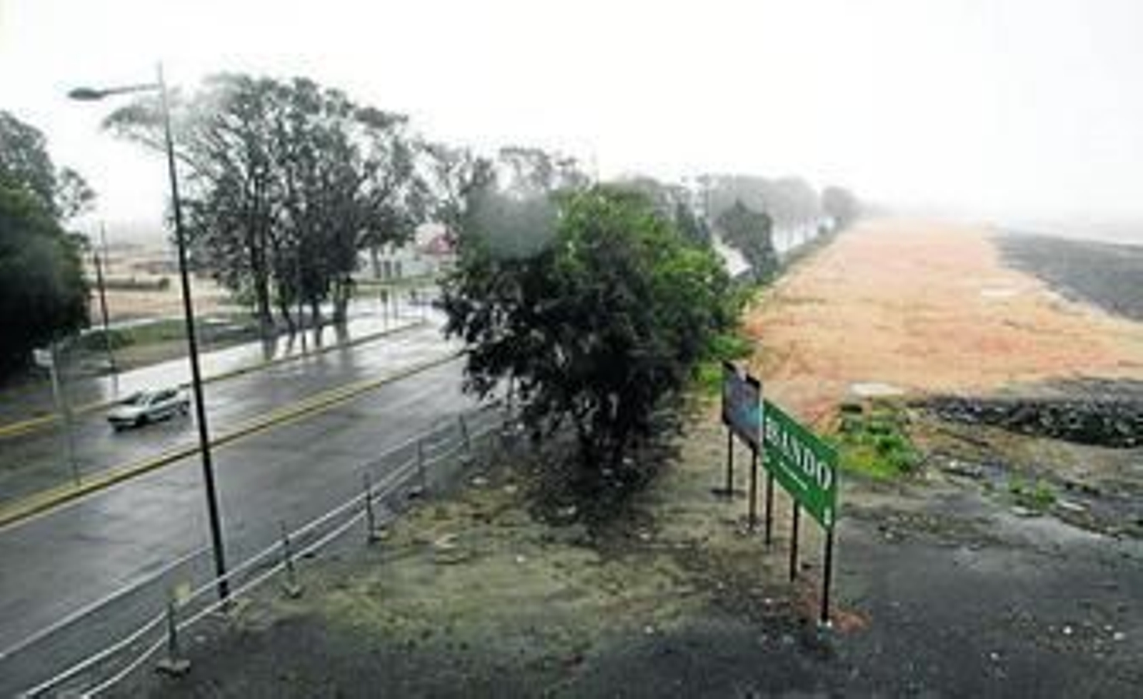 El paseo a la Punta del Sebo en su inicio, desde el muelle de Río Tinto, con las hileras de árboles recién plantadas.