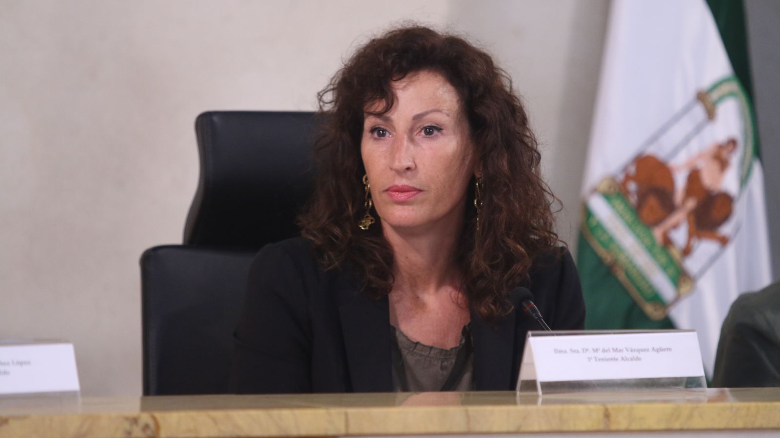 Vázquez ha presidido el pleno