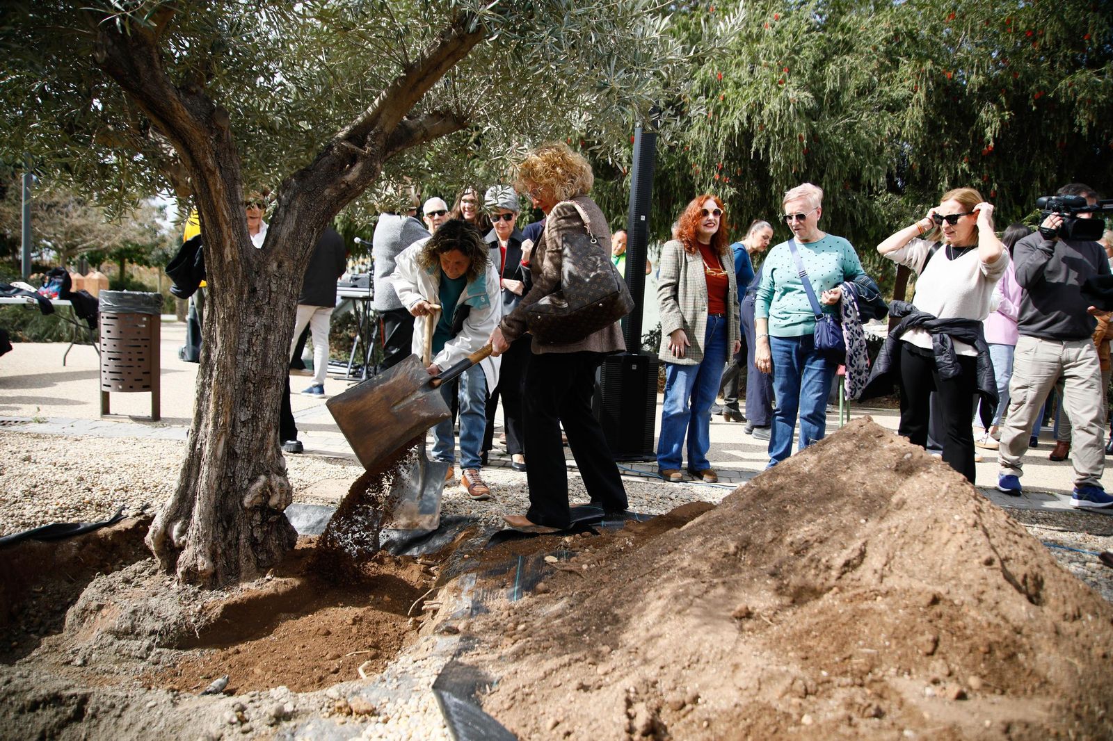 Las imágenes de la plantación de un olivo y el entierro de una cápsula del tiempo