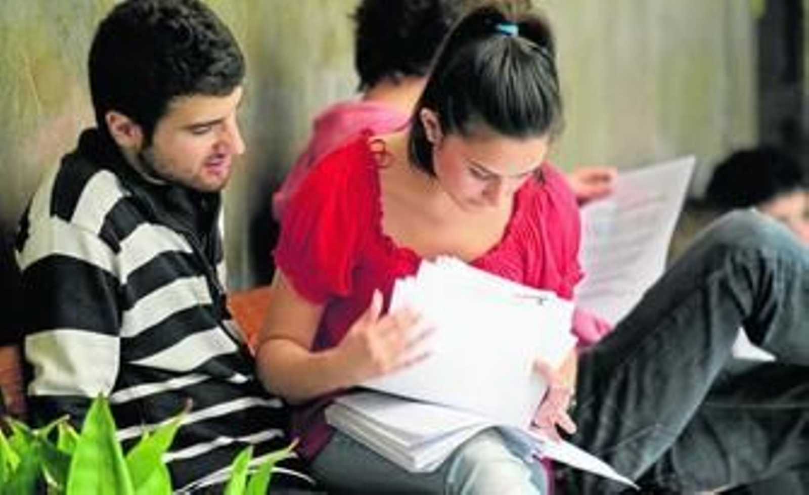 Una estudiante repasa los apuntes antes de examinarse de Selectividad el pasado junio en la Facultad de Derecho de Granada.