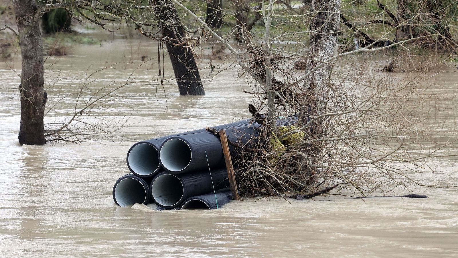 Ruta por la zona rural inundada de Jerez