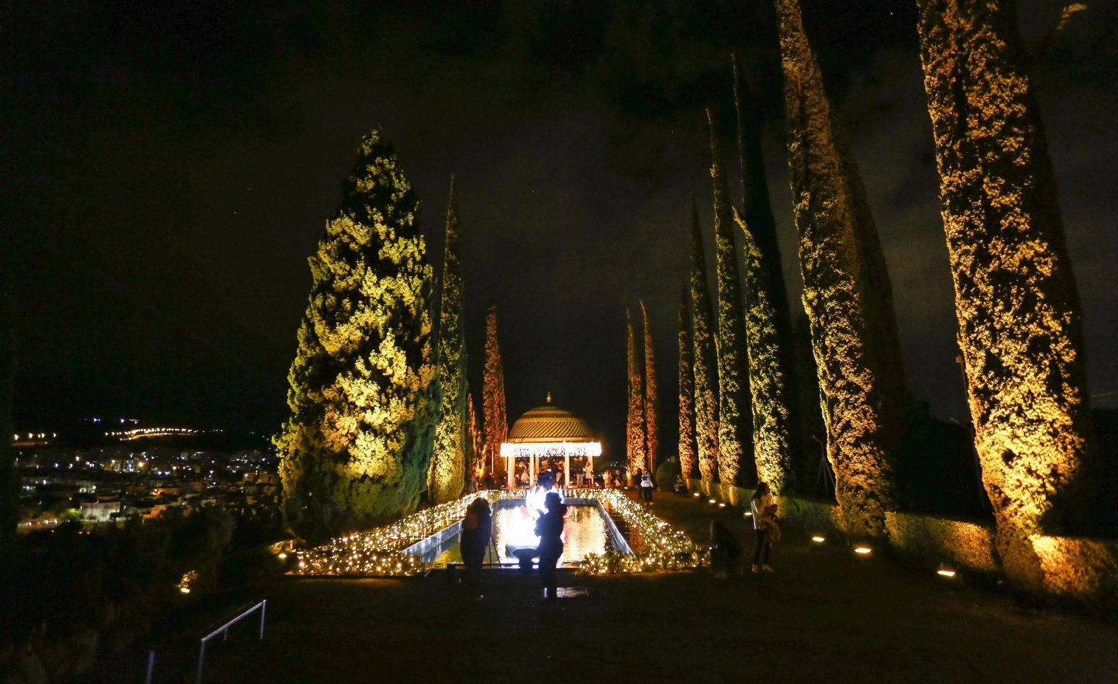 Las luces del Jardín Botánico de Málaga, en fotos