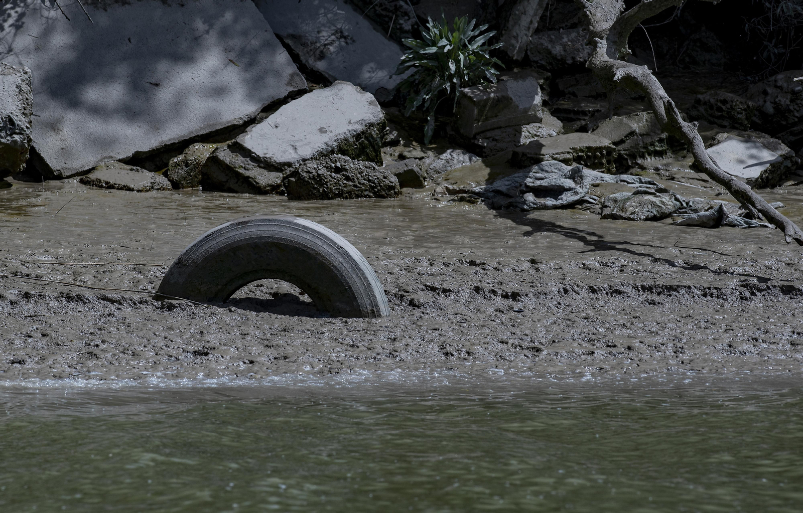 Travesía en barco por el Guadalquivir