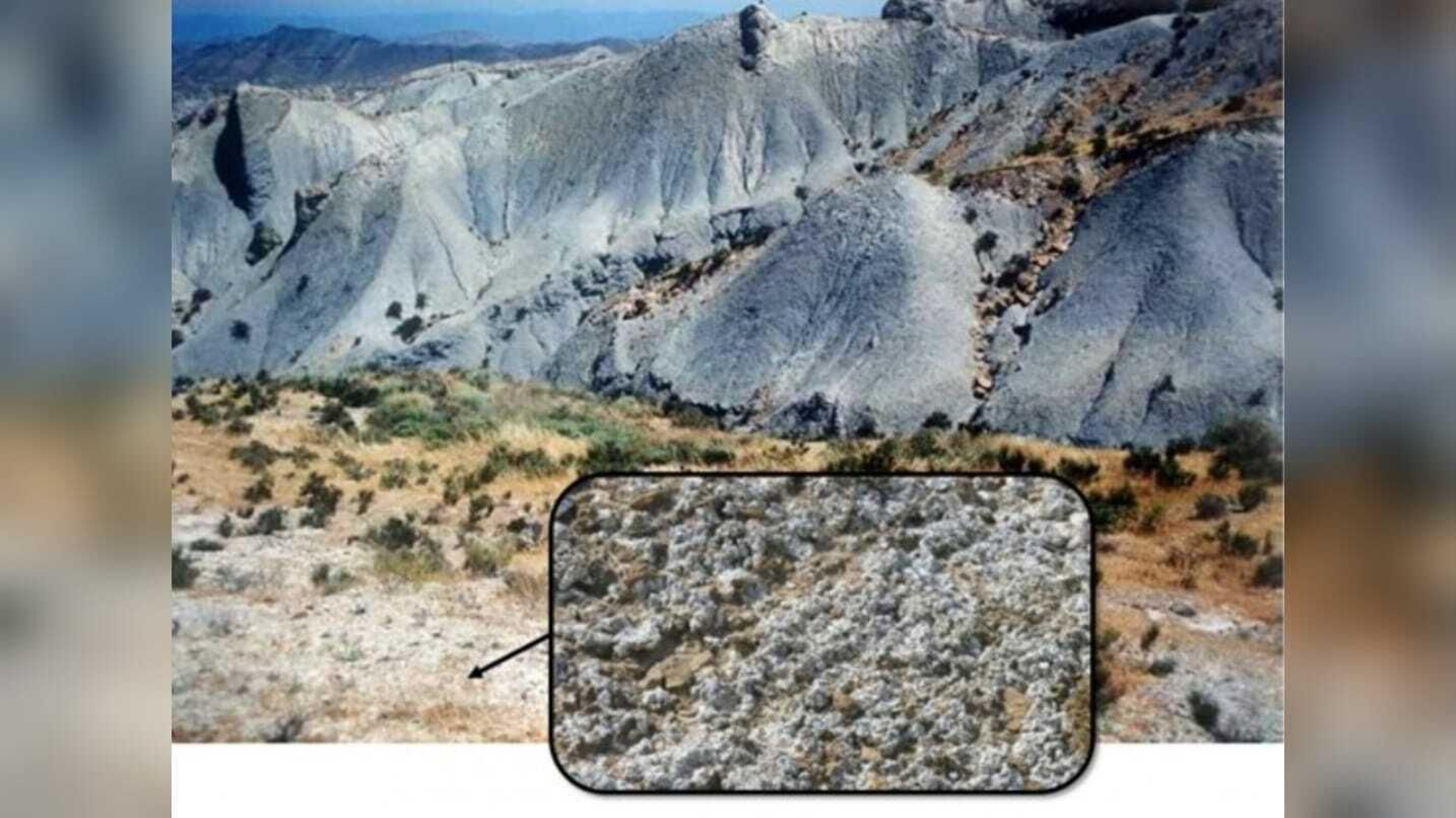 Almería protege las biocostras del desierto para hacer frente al cambio climático