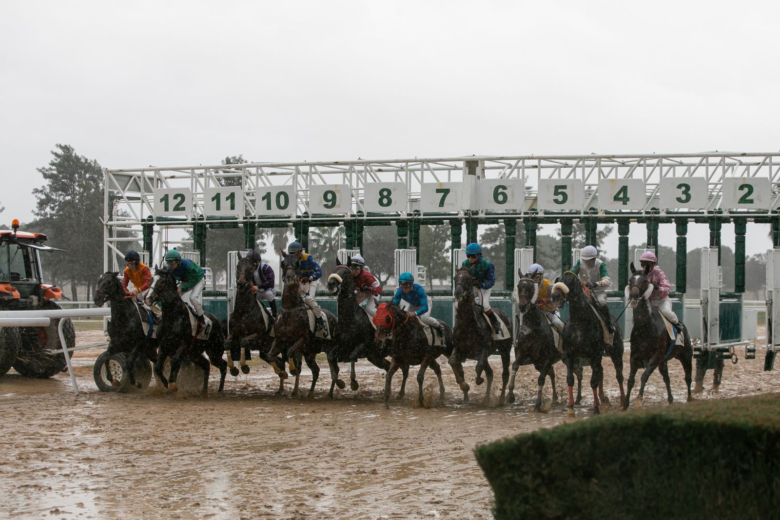 Las fotos de las carreras de caballos en Pineda