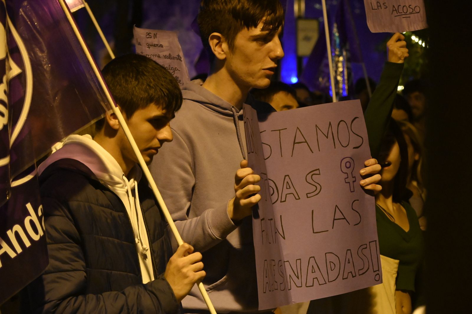 Manifestación del 25N en Imágenes.