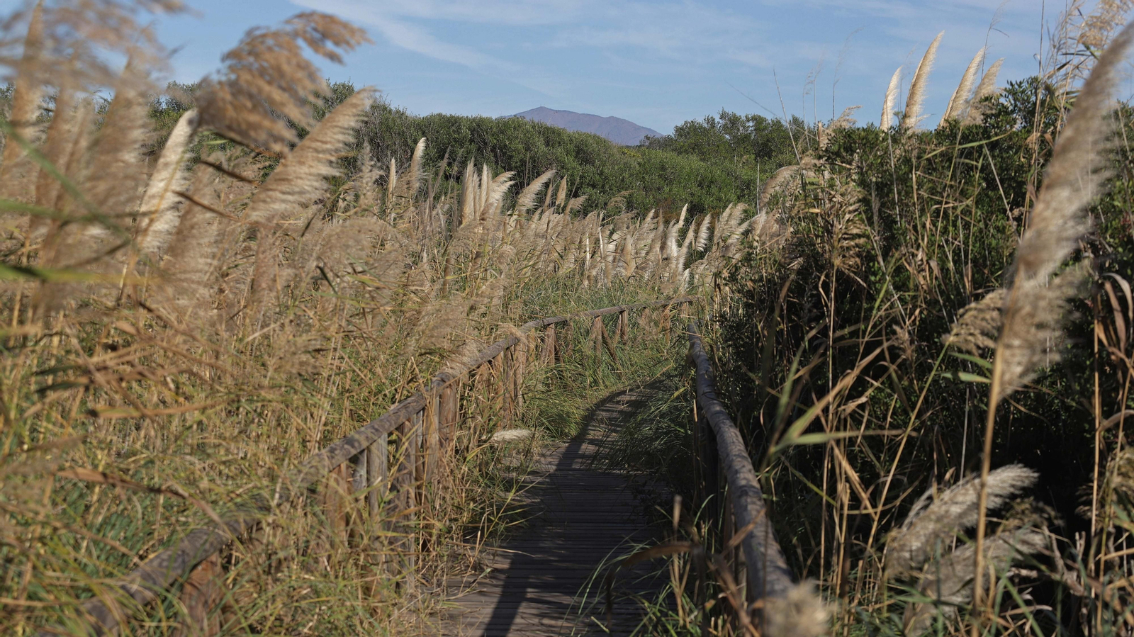 Fotos del estuario del río Guadiaro en San Roque