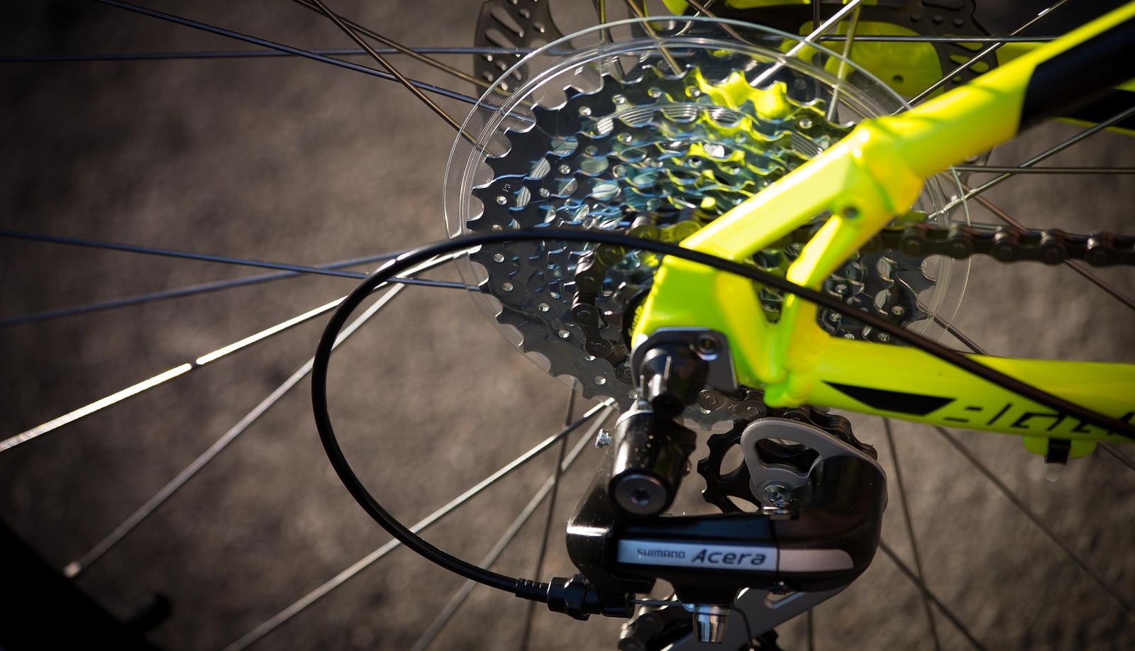 Estos son los productos que necesitas para tener tu bicicleta a punto