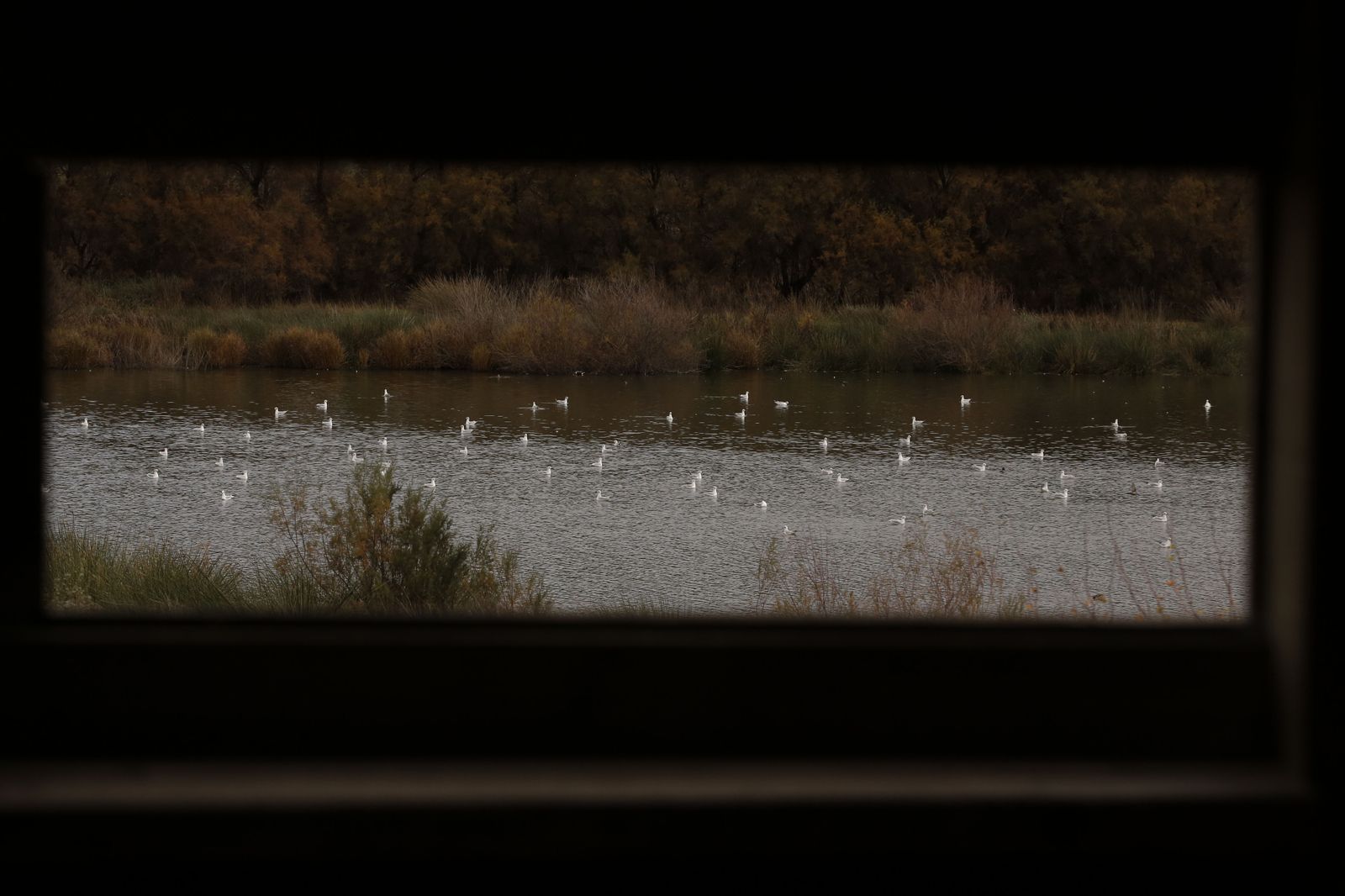 El paisaje dejado por la lluvia, en fotos.