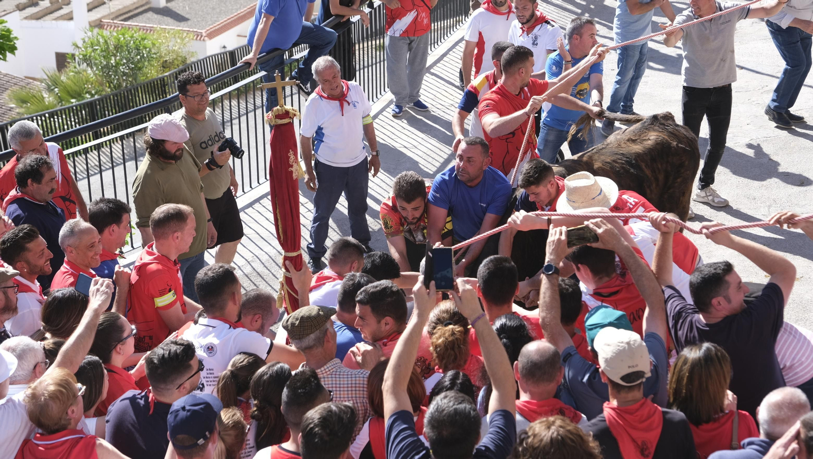 Imágenes de los toros ensogaos y San Marcos, en las Fiestas de Ohanes