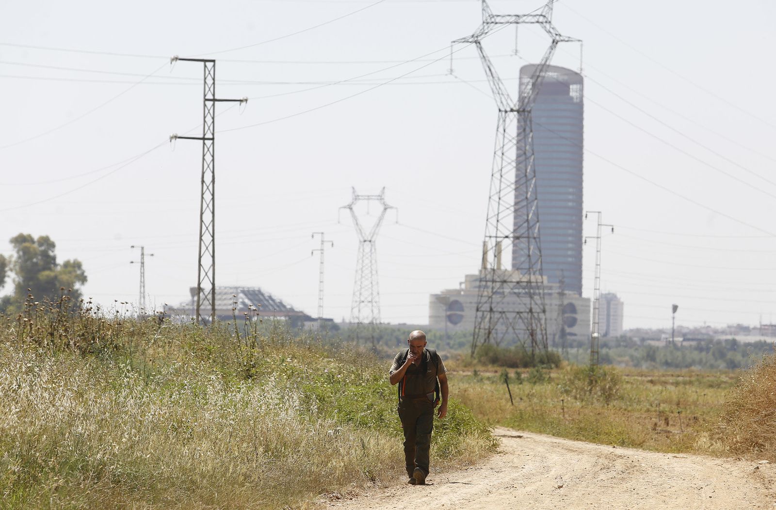 La búsqueda de Marta del Castillo bajo el puente del Alamillo, en imágenes