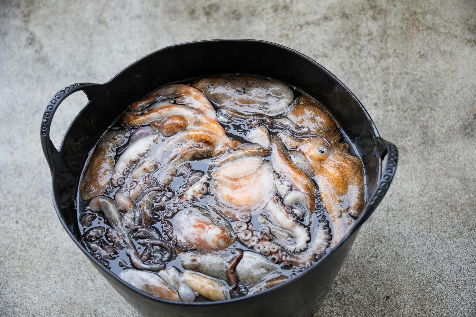 Vea cómo es la captura de pulpo en Adra, un manjar gastronómico