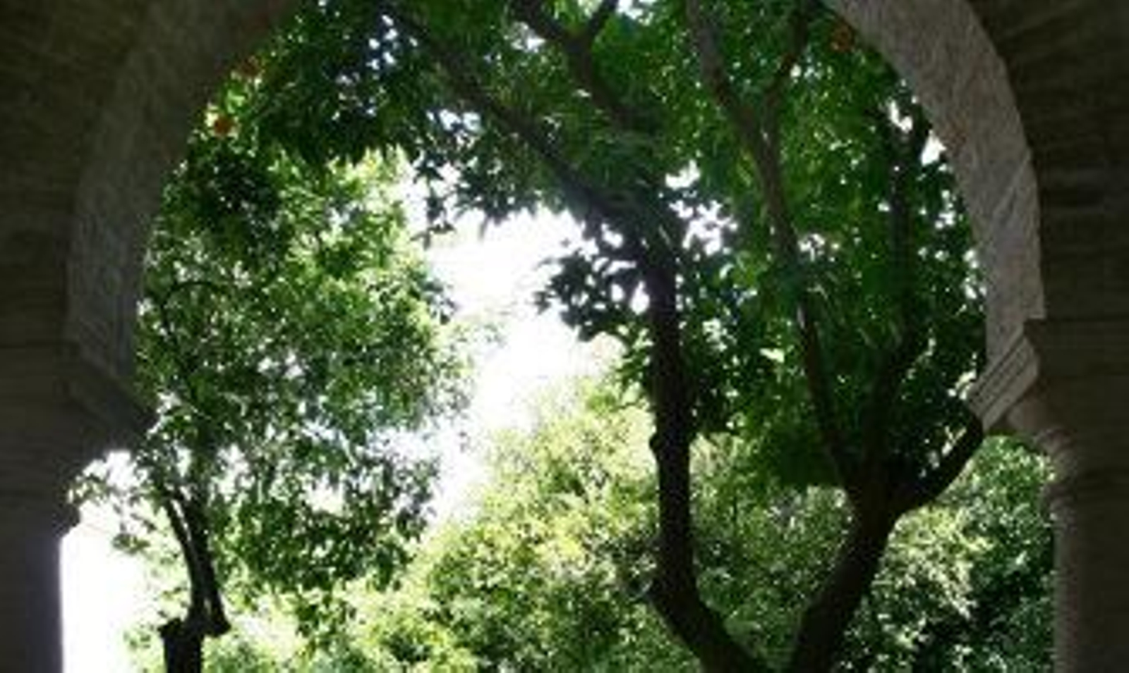 El Palacio de Viana estará cerrado hasta fin de mes