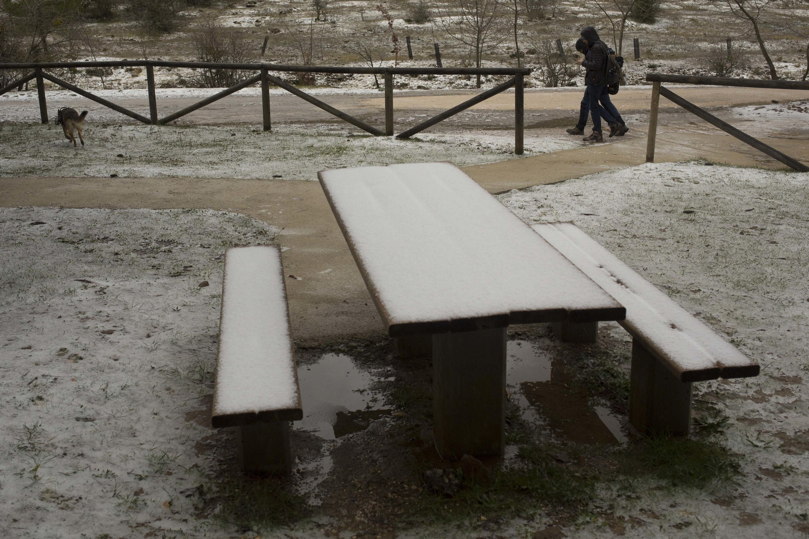 Las imágenes de la primera nevada del invierno en la Sierra de las Nieves