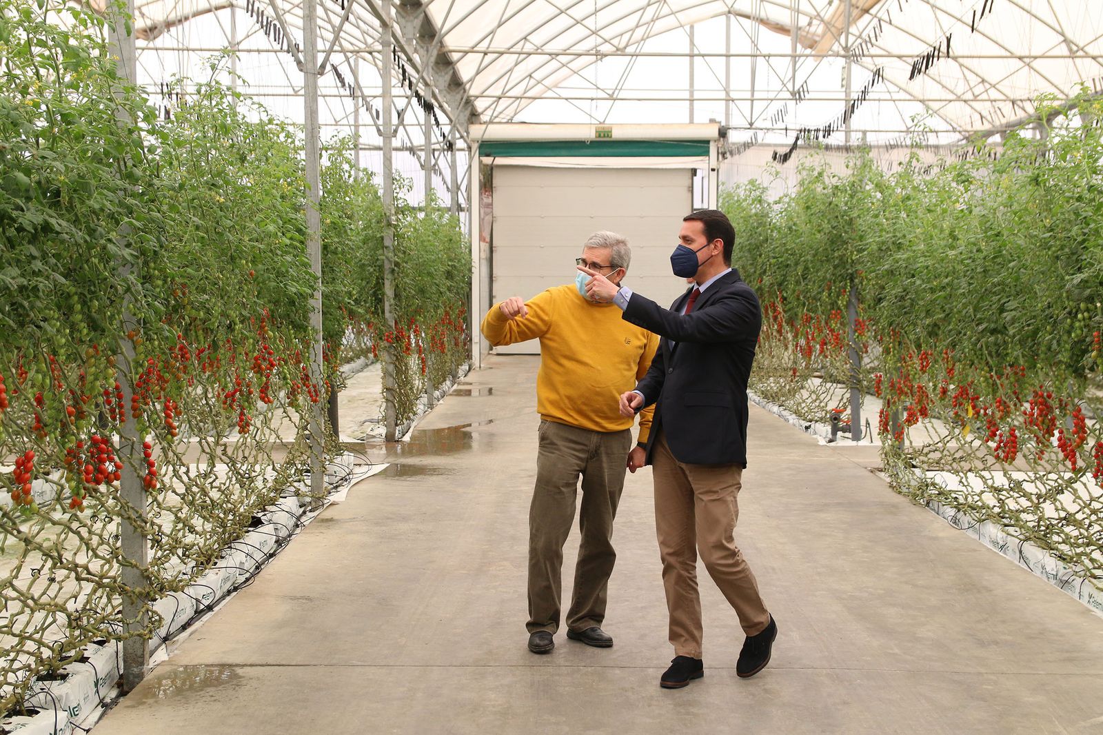 Fotogalería de la presentación del expositor 'Sabores Almería' en Madrid Fusión 2022