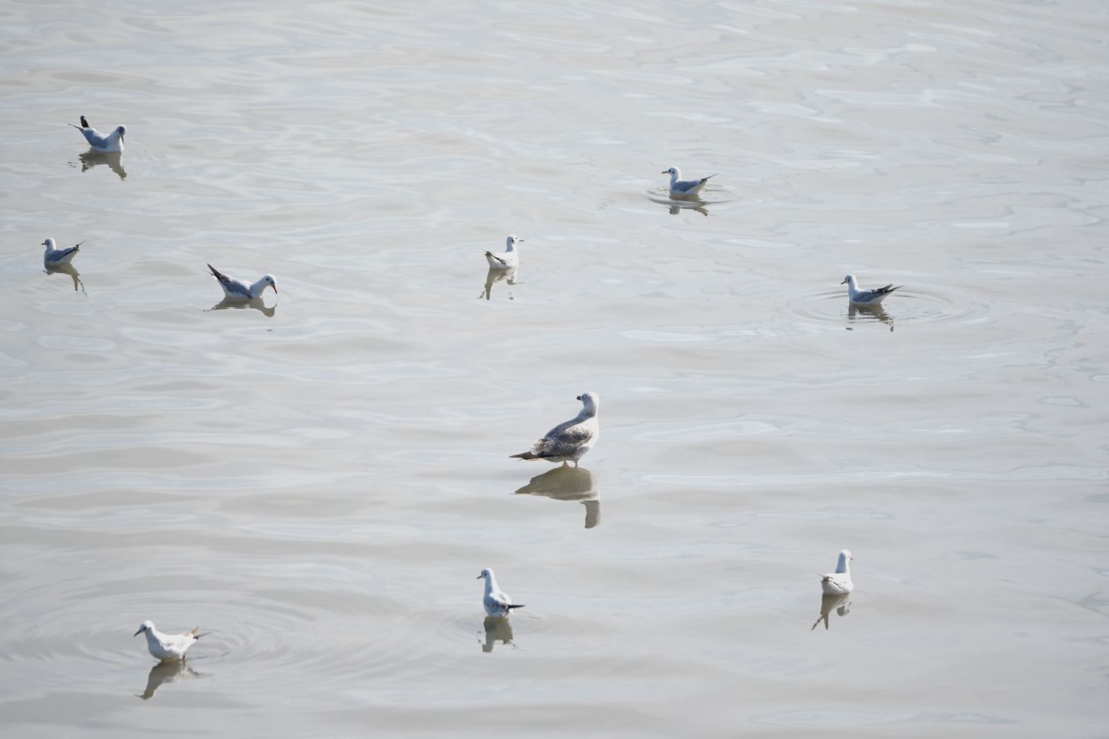 Una mañana en el paseo de la cornisa en Algeciras