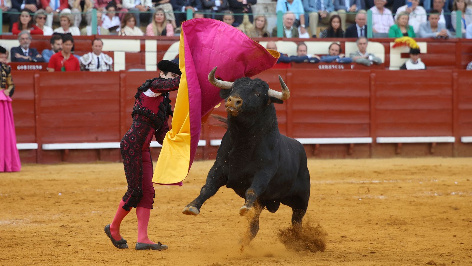 Tercera tarde de toros y última de la Feria de Jerez con Morante, Juan Ortega y Roca Rey