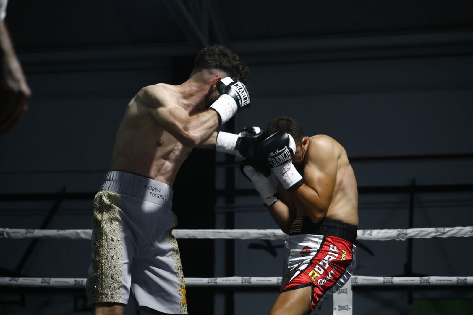 Gris y oro fue la elegante combinación que Andrew Pocrid eligió para José Luis Navarro Jr.