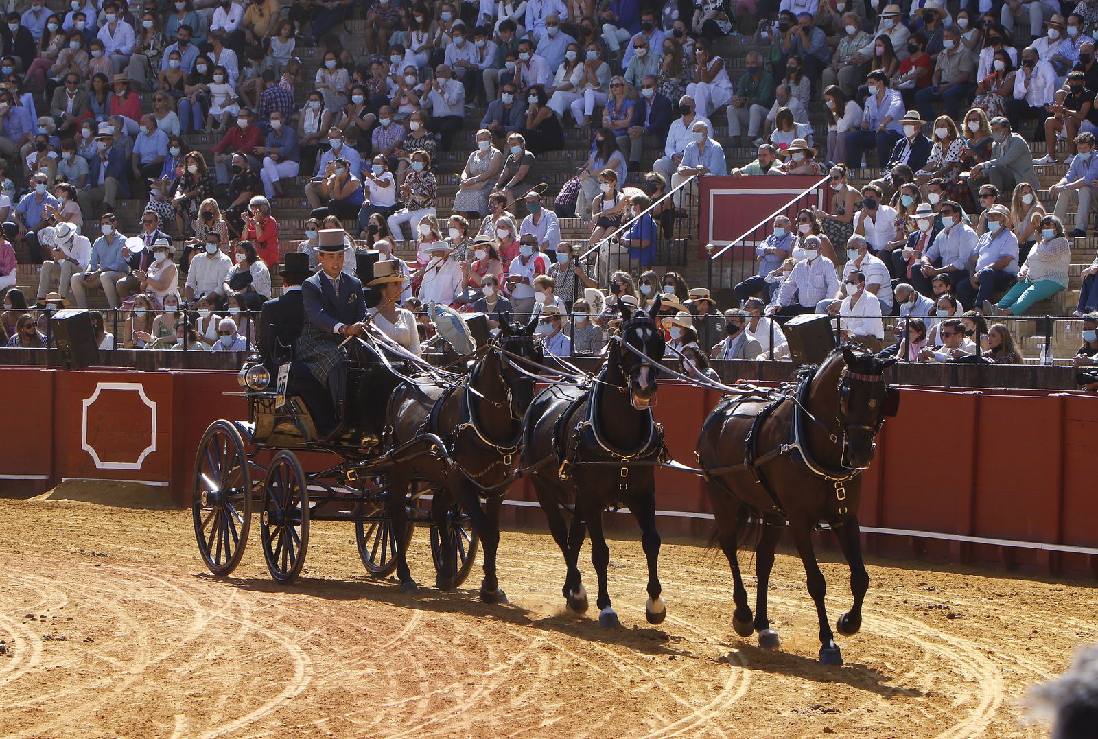 Exhibición de Enganches