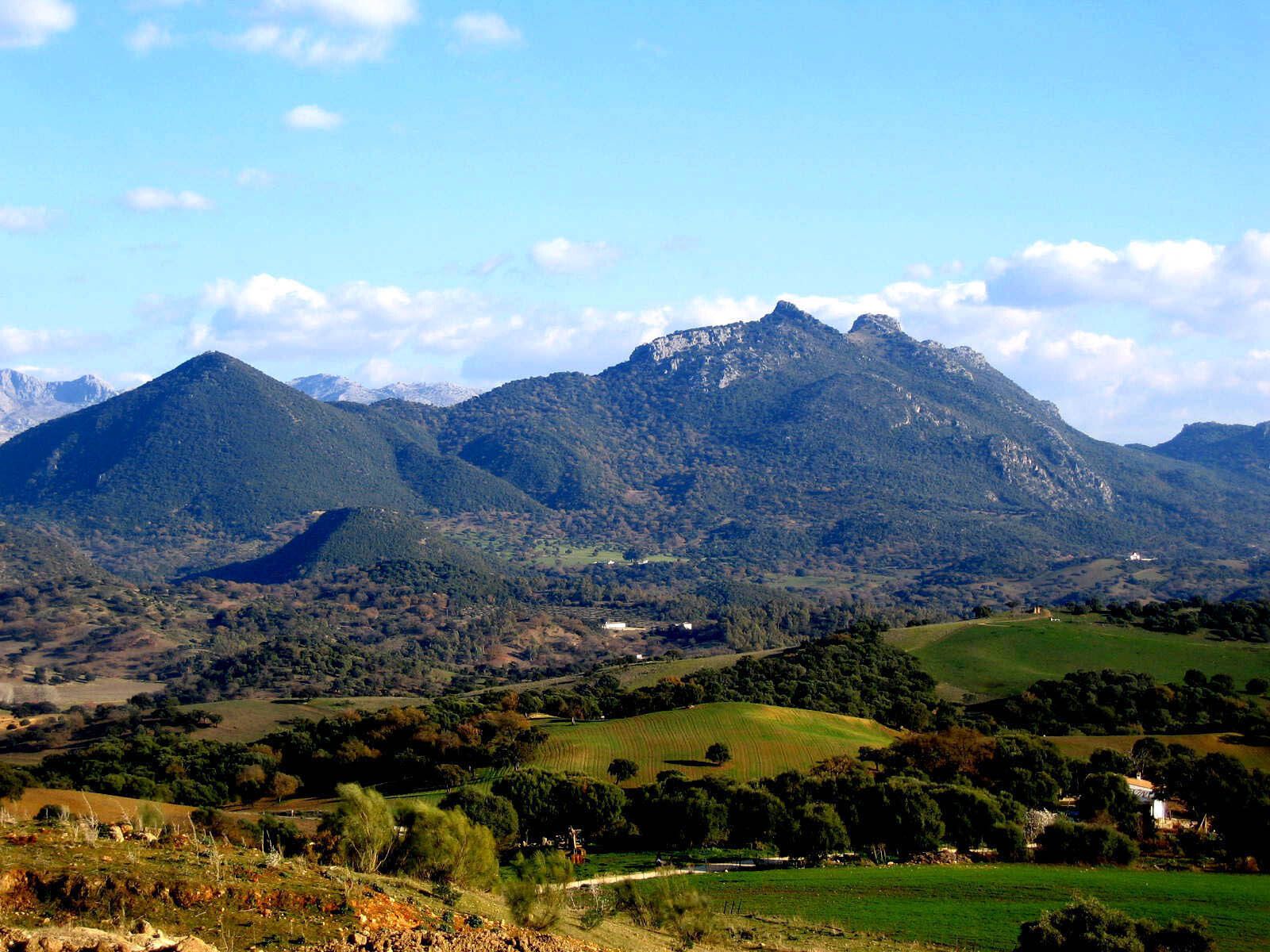 Parque Natural Sierra de Grazalema