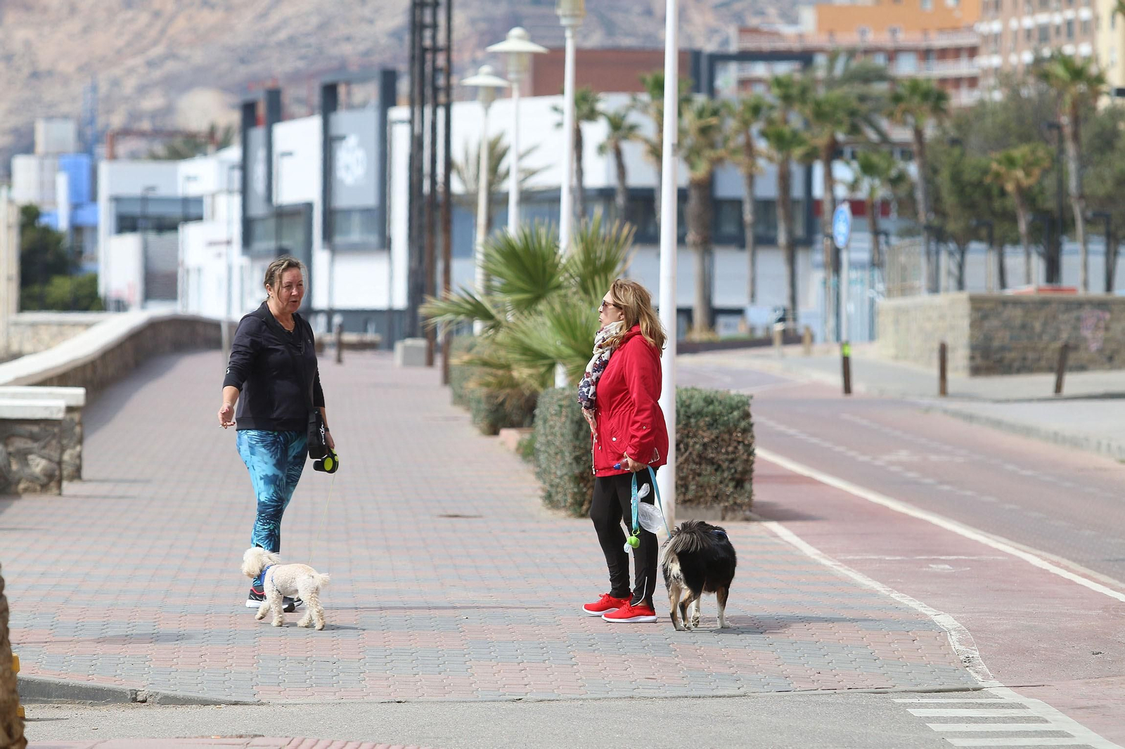 Las imágenes de la capital y los pueblos, paralizados para frenar el coronavirus
