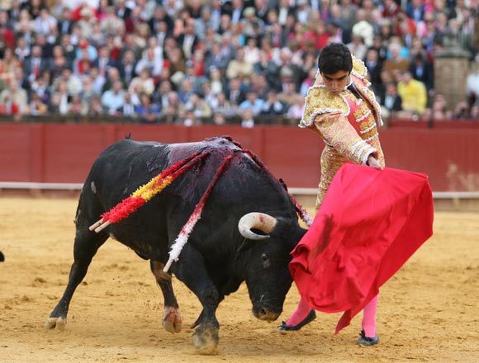 Pase de pecho de Miguel Ángel Perera en la Maestranza de Sevilla. / Juan Carlos Muñoz.