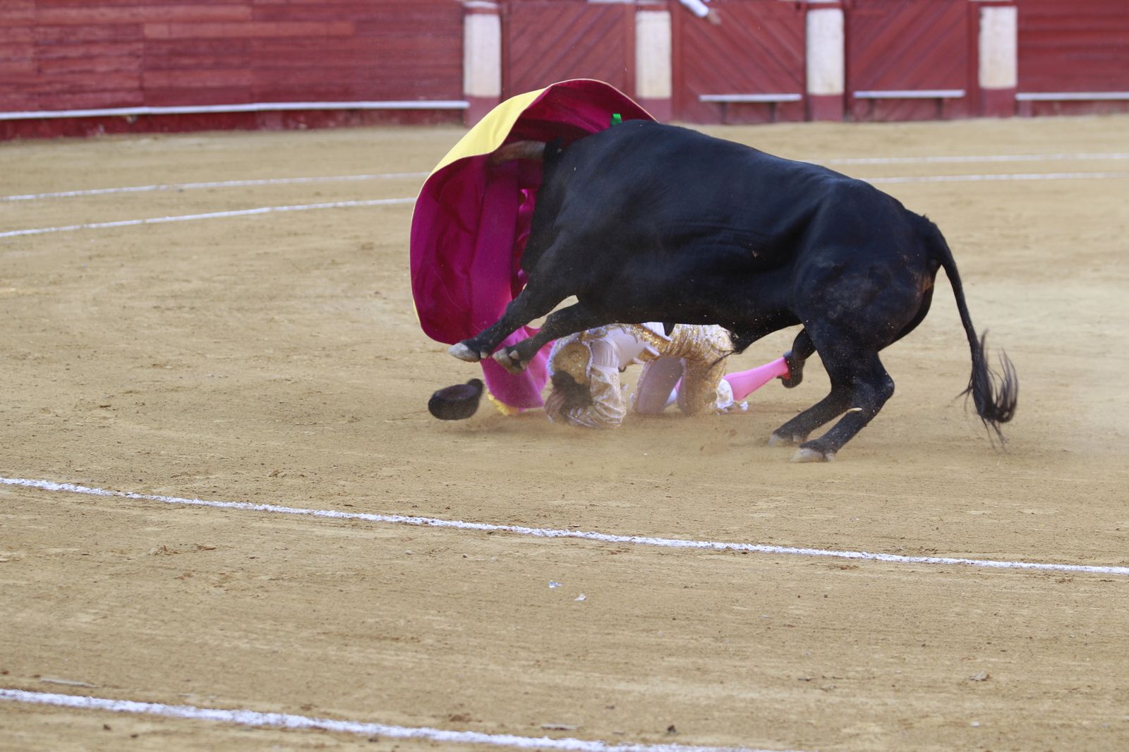 Imágenes del triunfo del torero almeriense Jorge Martínez el día de su alternativa