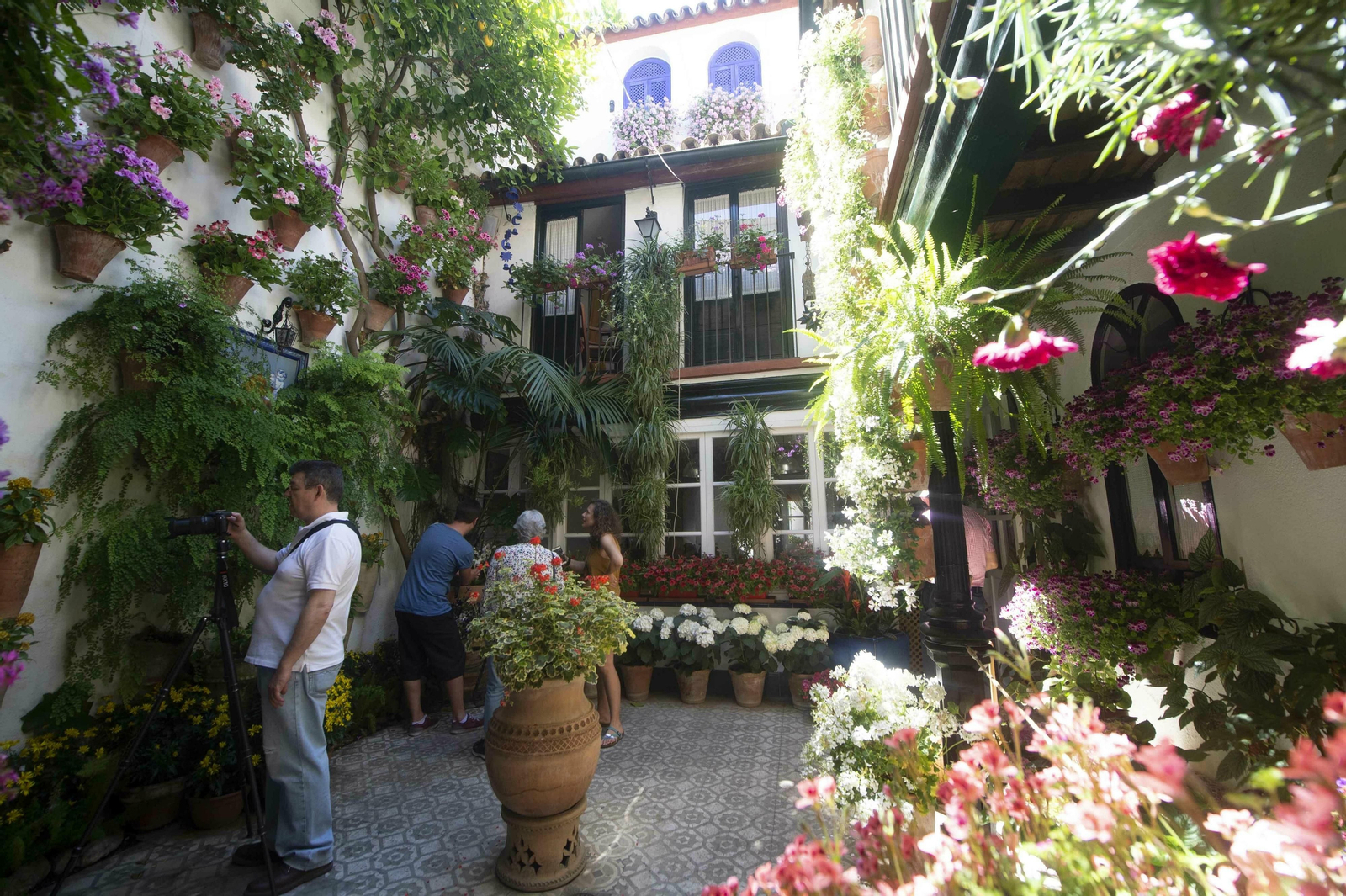 RUTA DE PATIOS JUDERÍA-SAN FRANCISCO