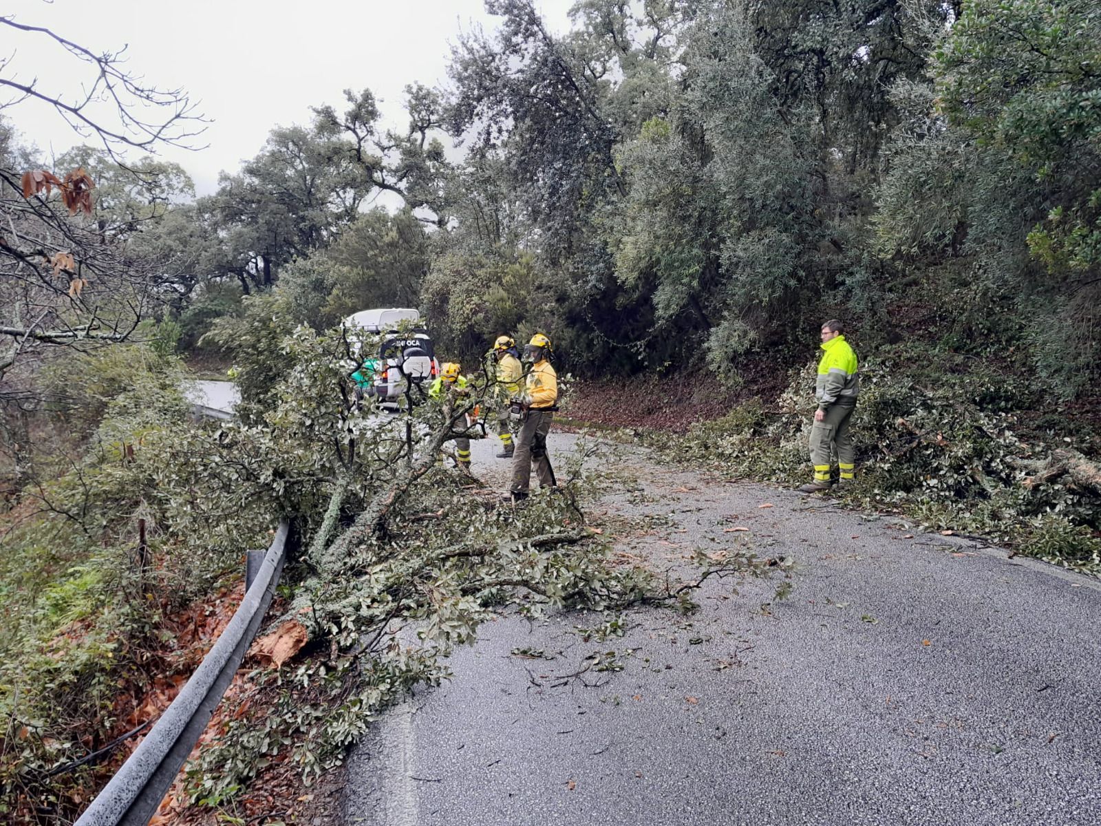 Efectivos del Infoca despejan una carretera en la Serranía de Ronda.