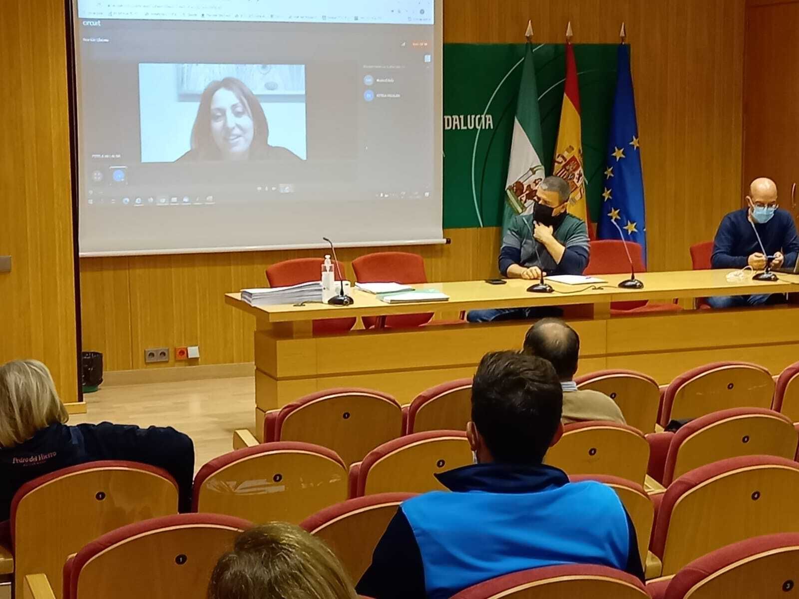 Las ayudas están destinadas principalmente a potenciar el deporte base.