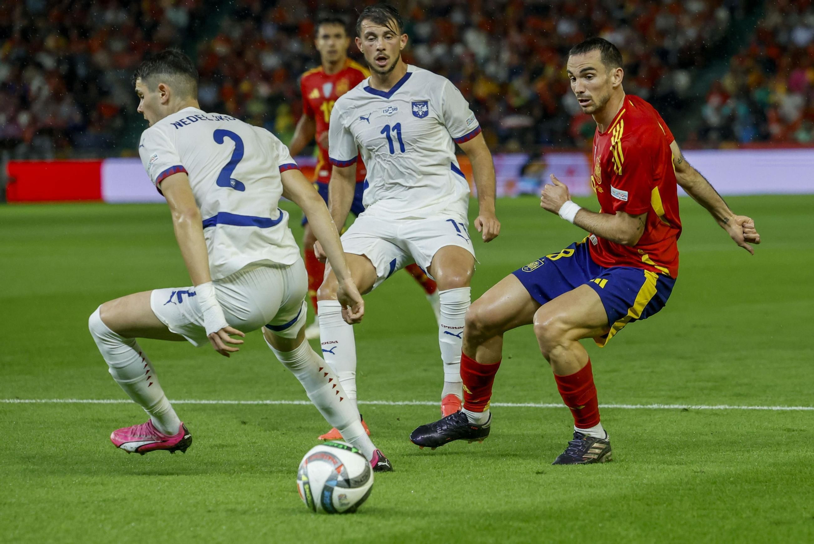Las fotos del España - Serbia en Córdoba