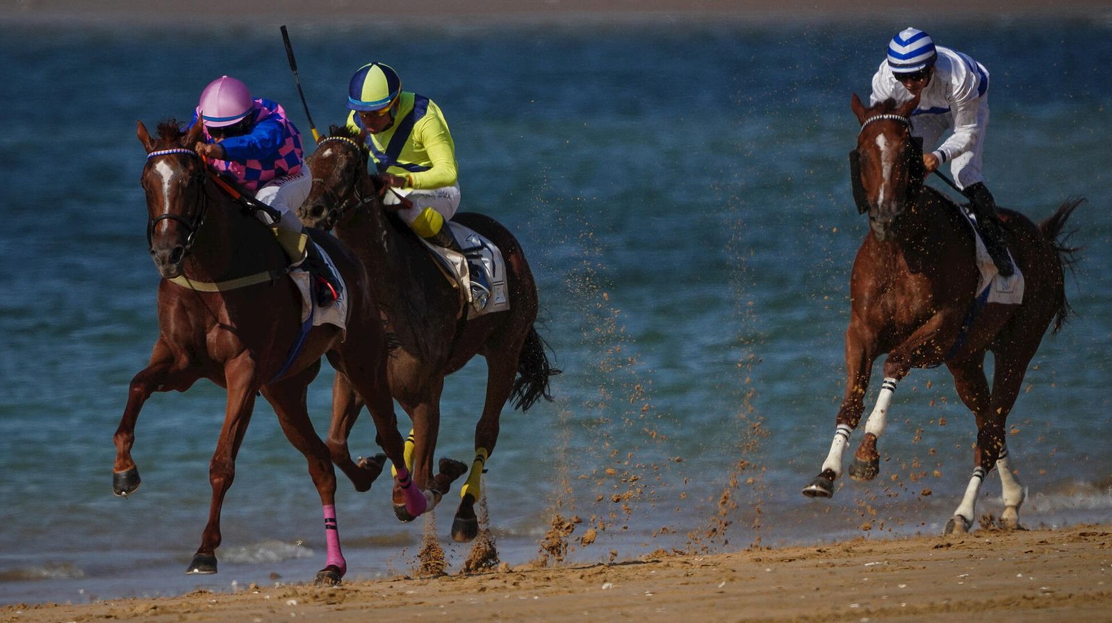 El segundo ciclo concluye este jueves con cuatro carreras, entre ellas el Gran Premio Ciudad de Sanlúcar.