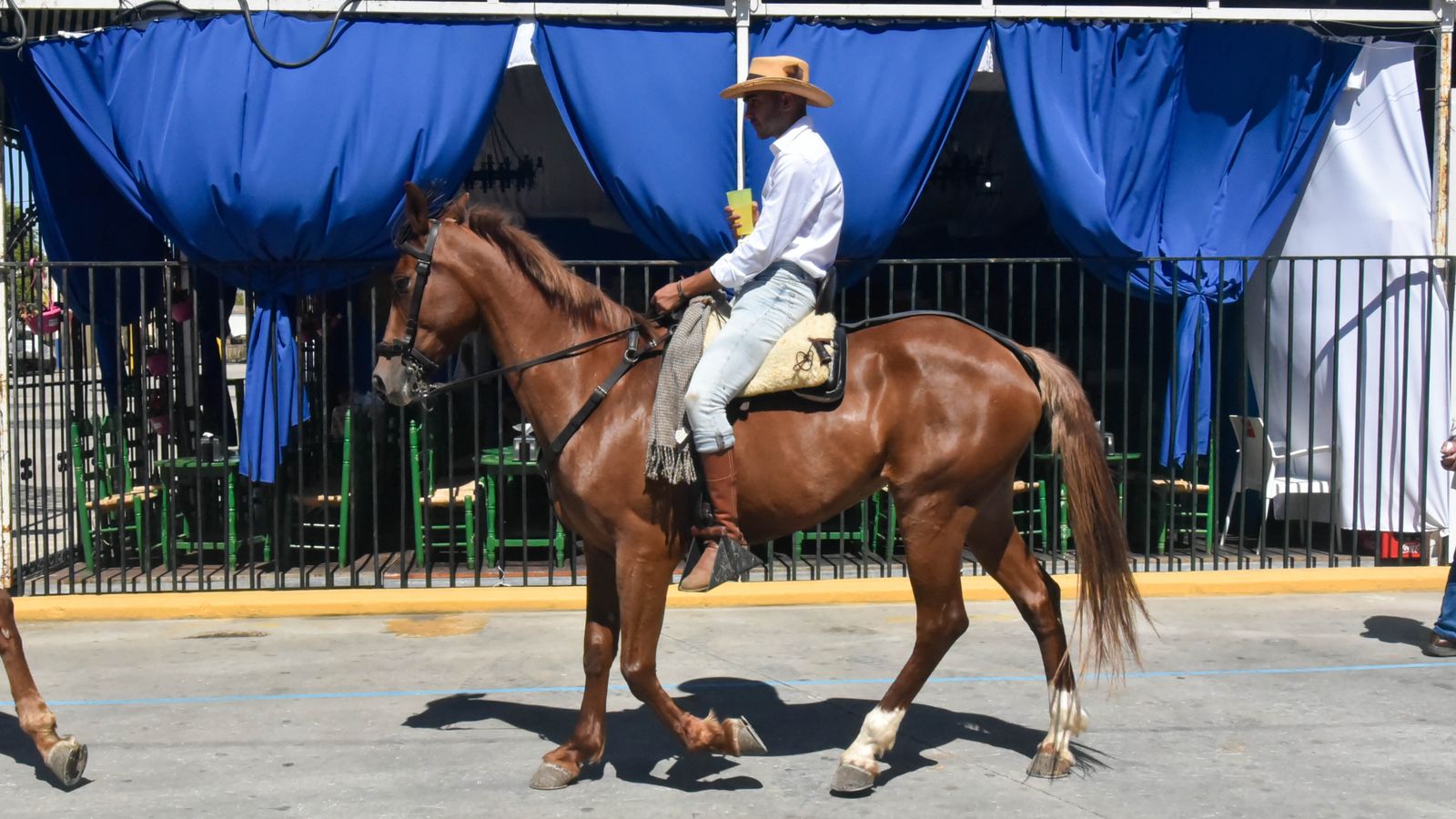 Fotos del sabado en la Feria Real de Algeciras