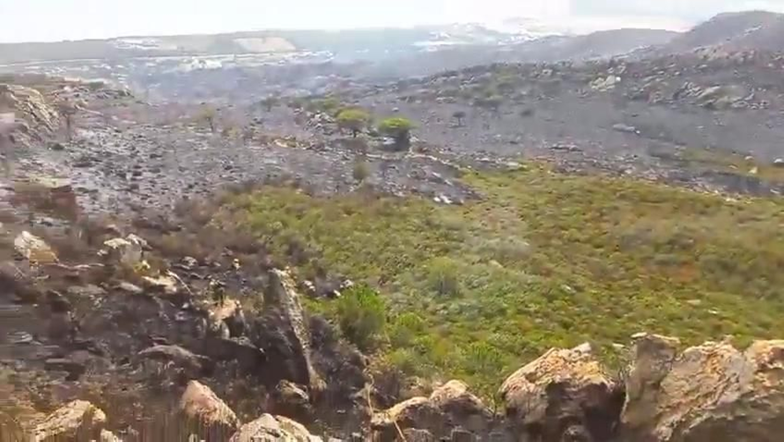 Así ha quedado la zona cercana a la turística playa de Valdevaqueros tras el incendio en Tarifa