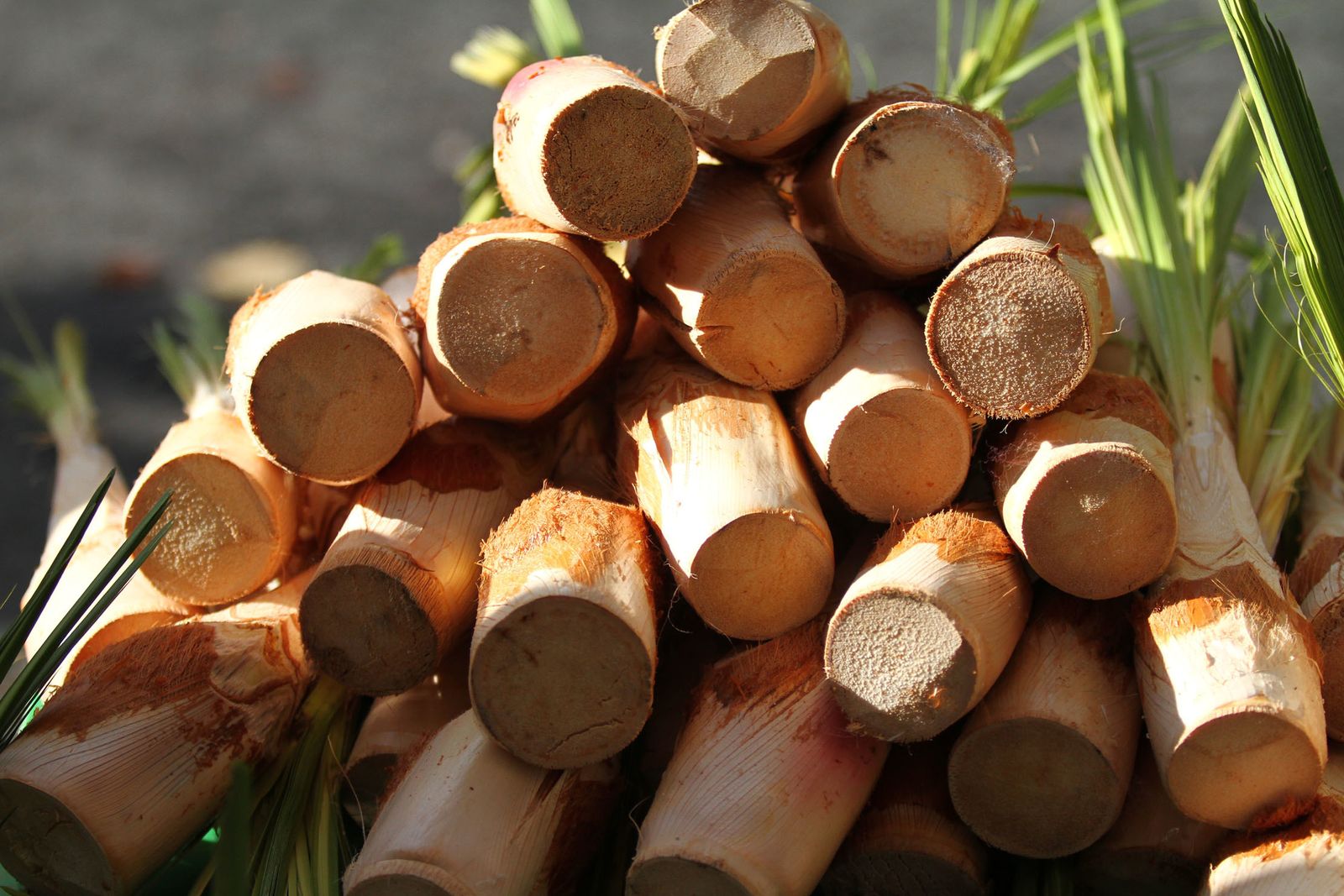 La procesión de San Sebastian en Imágenes.