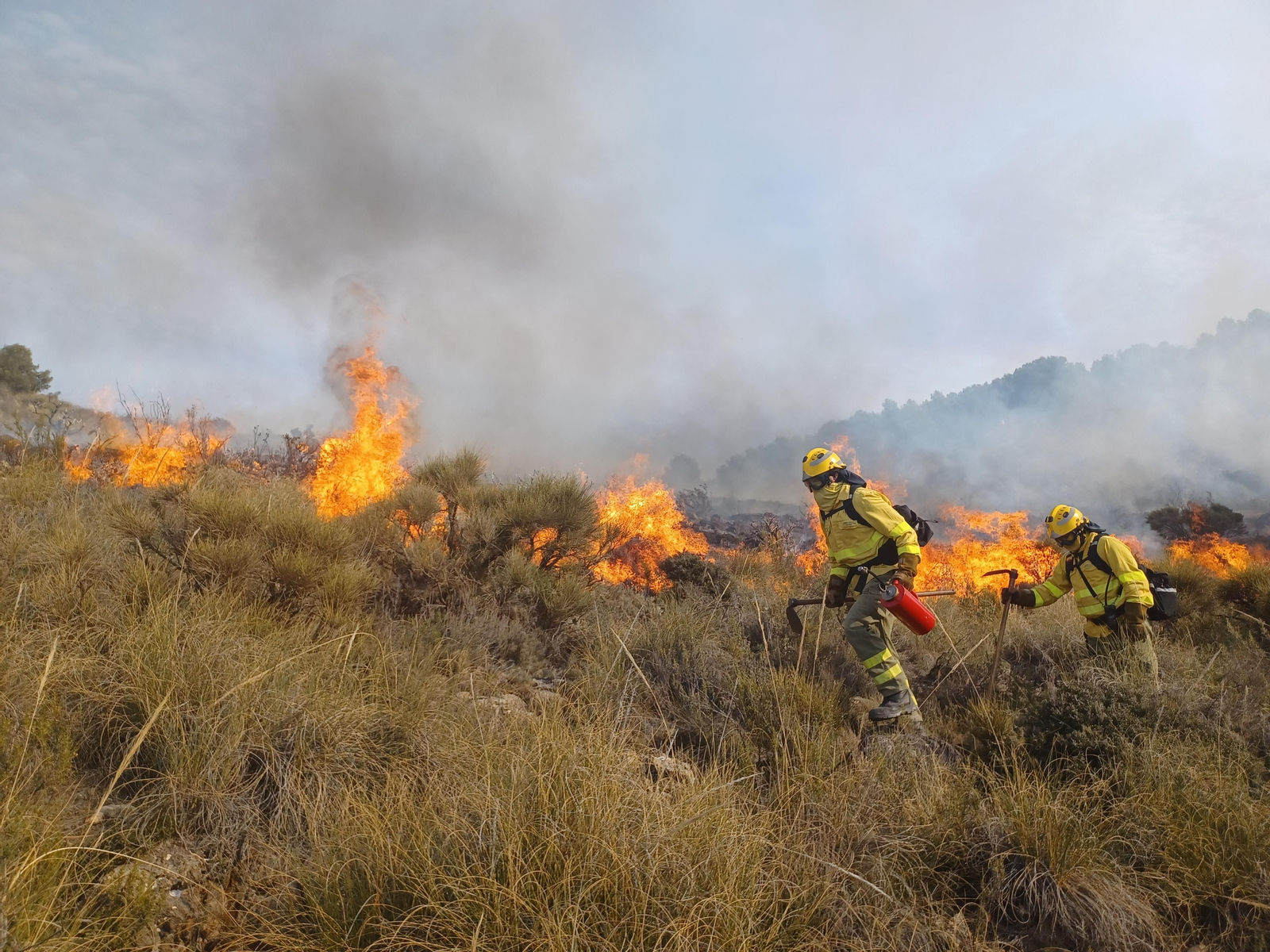 Bomberos forestales de Almería durante una quema prescrita en la sierra de Dalías