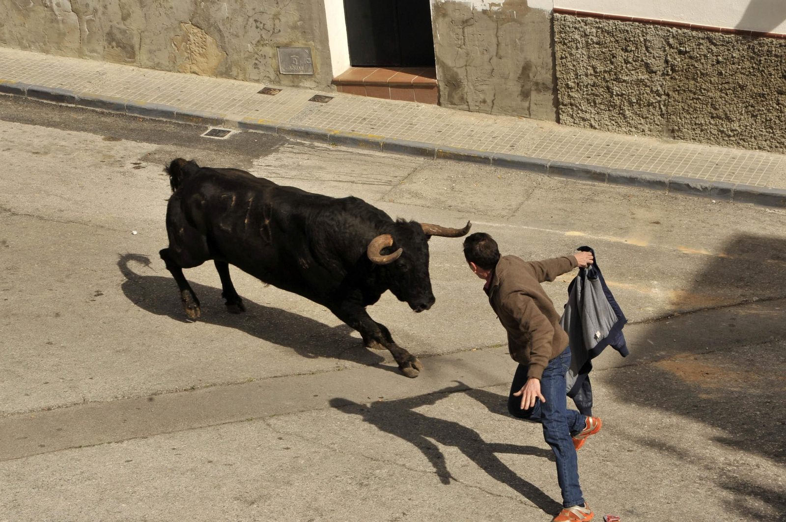 Imágenes del Toro del Aleluya en Arcos