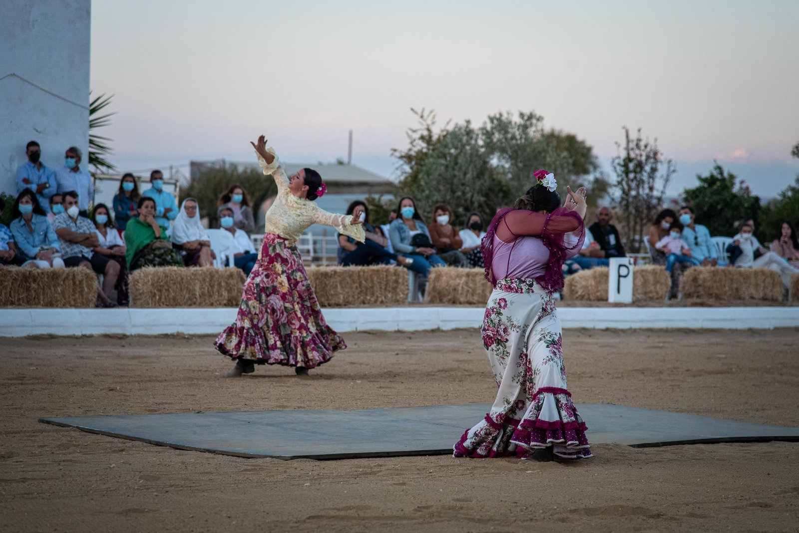 El espectáculo Flamencab en imágenes